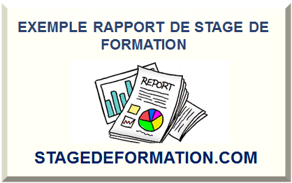 EXEMPLE RAPPORT DE STAGE DE FORMATION 2023